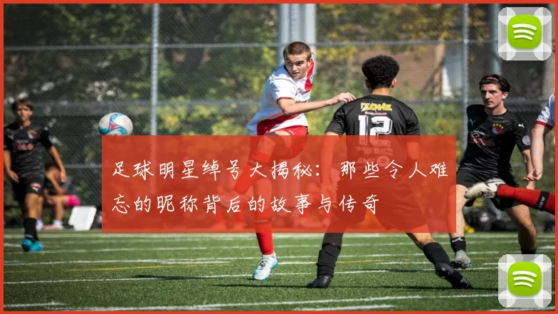 足球明星绰号大揭秘：那些令人难忘的昵称背后的故事与传奇