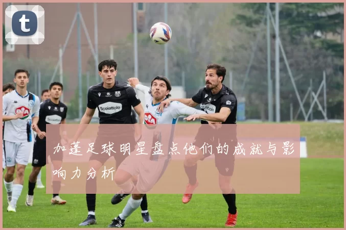 加蓬足球明星盘点他们的成就与影响力分析